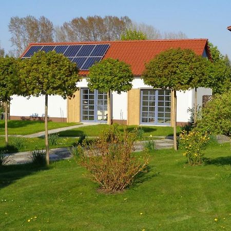 Alte Hofwerkstatt Lägenhet Gaußig Exteriör bild